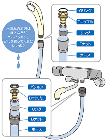 ���R��̌����͂قƂ�ǂ��S���p�b�L���B�ǂ�𔃂��Ă���΂����́H